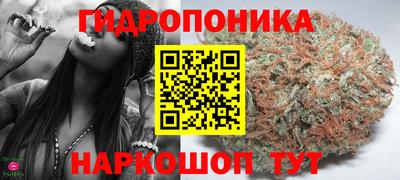 мдма Моздок